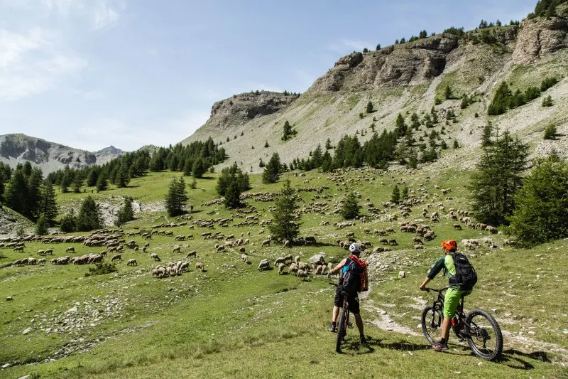 inscriptions-tonight-transverdon-mtb-rally