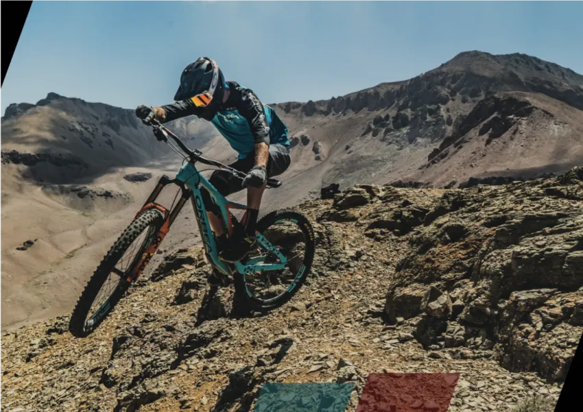 thomas-lapeyrie-leaves-orbea